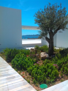 ALYKI - HERB GARDEN