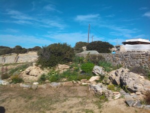 KOSTOS - ROCK GARDEN