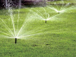sprinklers