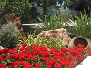 IMG_0766_sm