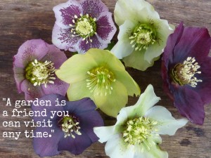 garden_quotes5